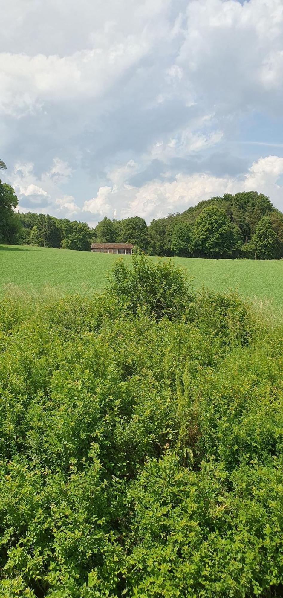 Apartmán Gasthaus Zum Schneider Pottenstein Exteriér fotografie